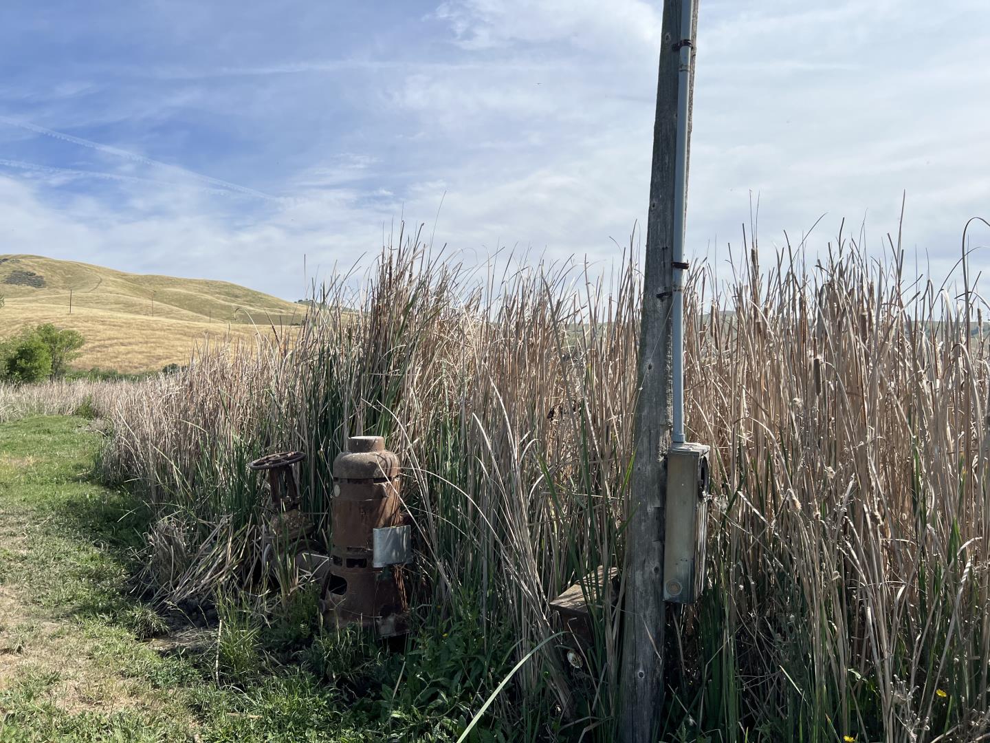 Detail Gallery Image 9 of 23 For Pacheco Pass Hwy, Hollister,  CA 95023 - – Beds | – Baths