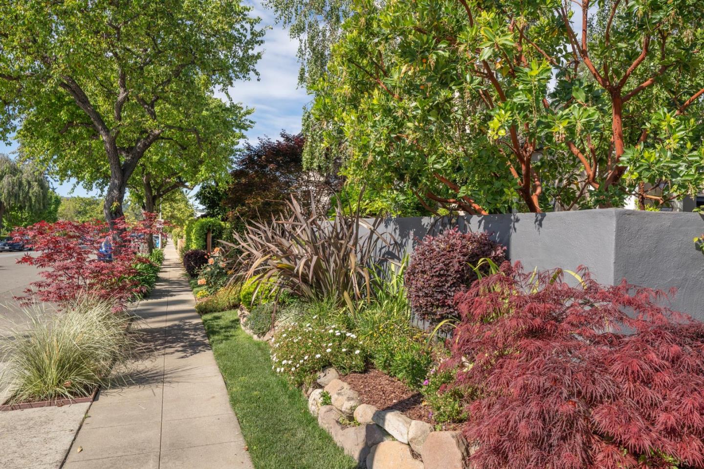 Detail Gallery Image 6 of 64 For 1120 Palm Ave, San Mateo,  CA 94401 - 4 Beds | 3 Baths