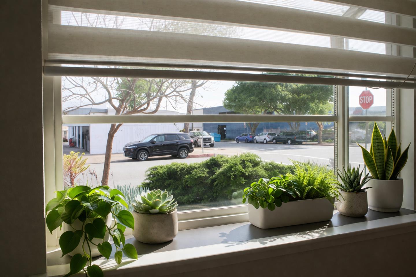 Photo #10: ML82042378 Listing: Photo #10