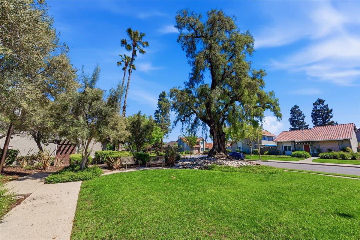 Photo #43: ML82042388 Listing: Photo #43