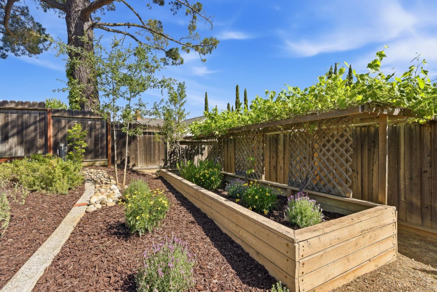 Detail Gallery Image 44 of 53 For 1351 Hidden Mine Rd, San Jose,  CA 95120 - 4 Beds | 2 Baths