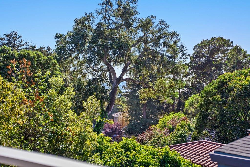 Detail Gallery Image 19 of 58 For 204 Highland Dr, Aptos,  CA 95003 - 4 Beds | 2 Baths
