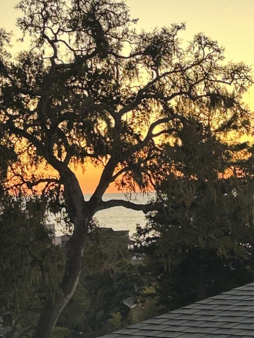 Detail Gallery Image 58 of 58 For 204 Highland Dr, Aptos,  CA 95003 - 4 Beds | 2 Baths