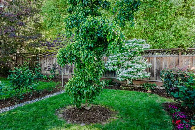 Detail Gallery Image 23 of 26 For 229 Aragon Blvd, San Mateo,  CA 94402 - 4 Beds | 2/1 Baths