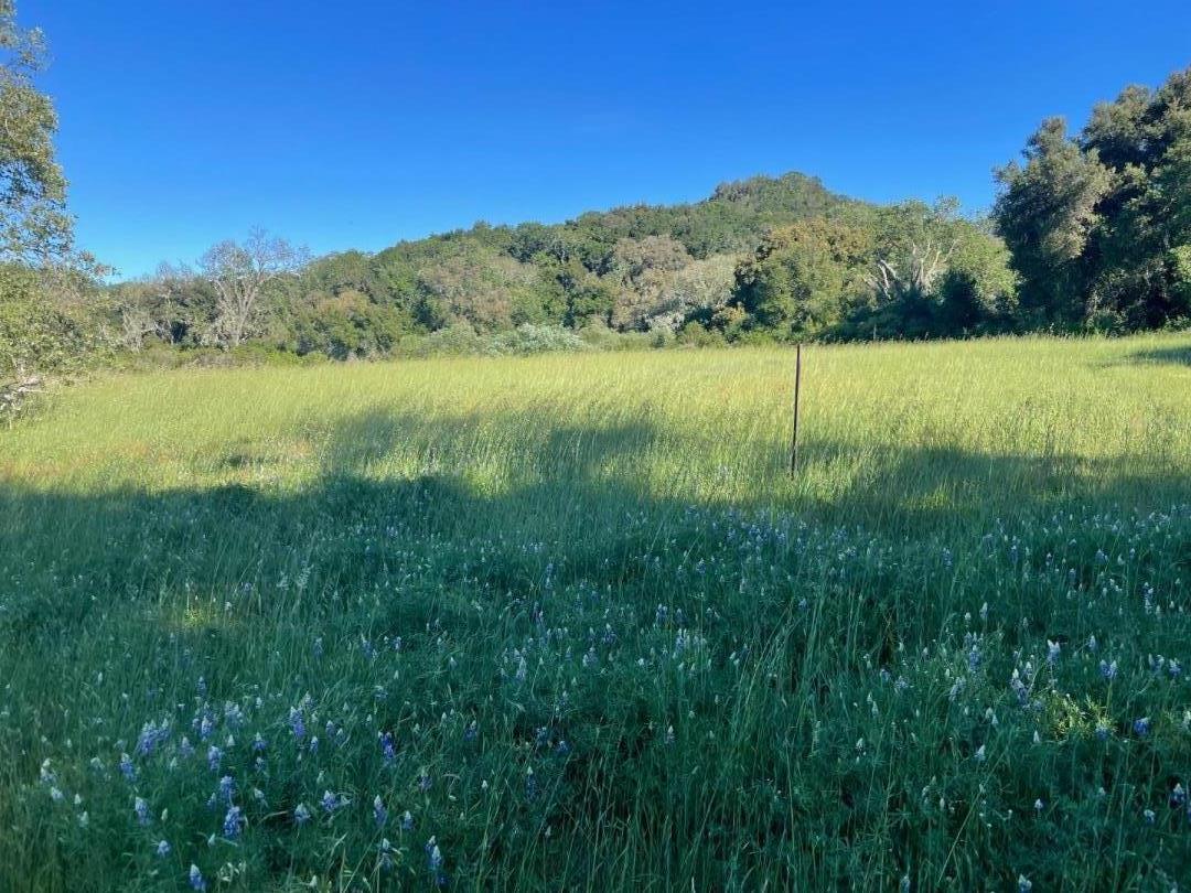 Detail Gallery Image 4 of 7 For Robinson Canyon Rd, Carmel Valley,  CA 93923 - – Beds | – Baths