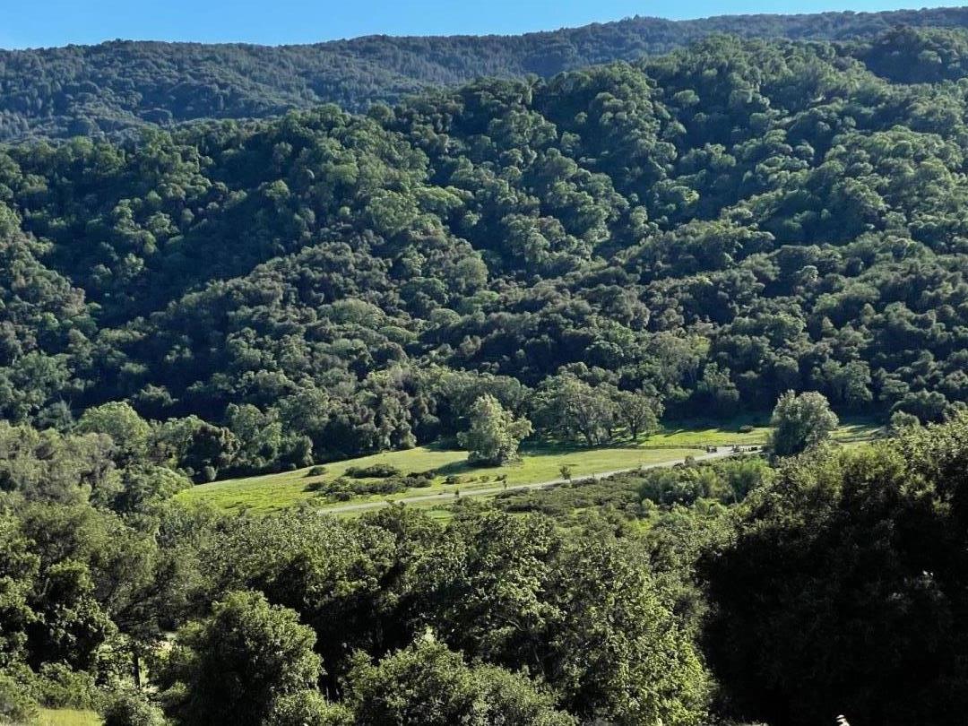 Detail Gallery Image 5 of 7 For Robinson Canyon Rd, Carmel Valley,  CA 93923 - – Beds | – Baths