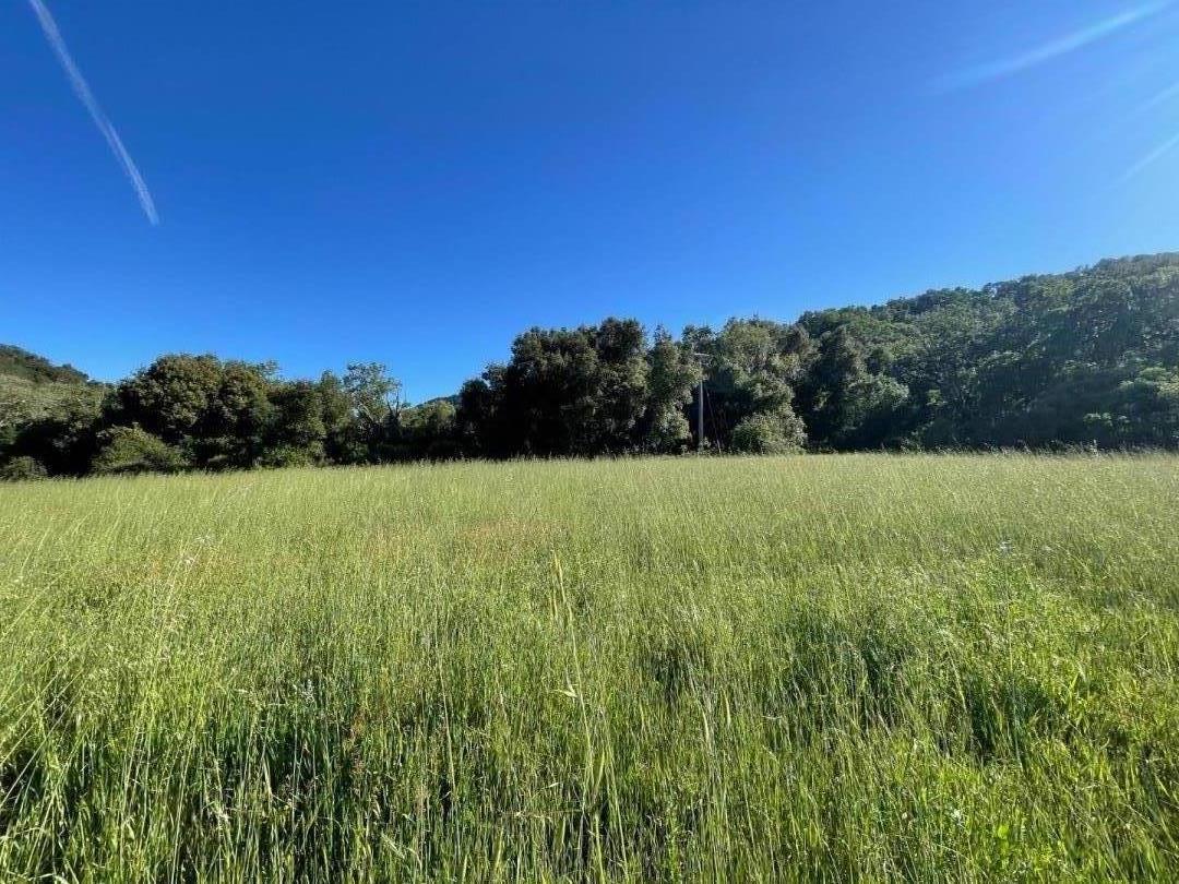 Detail Gallery Image 6 of 7 For Robinson Canyon Rd, Carmel Valley,  CA 93923 - – Beds | – Baths