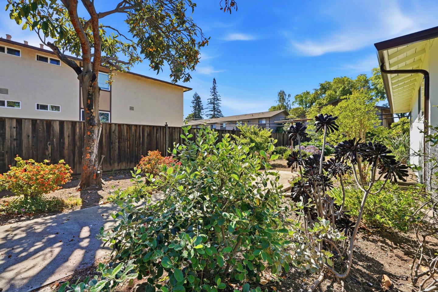 Detail Gallery Image 28 of 33 For 491 S Rengstorff Ave, Mountain View,  CA 94040 - 3 Beds | 2 Baths