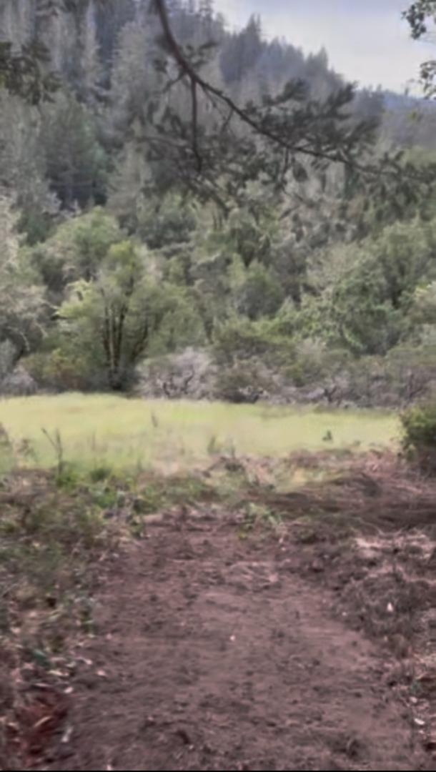 Detail Gallery Image 15 of 16 For 11930 Graton Rd, Sebastopol,  CA 95472 - – Beds | – Baths