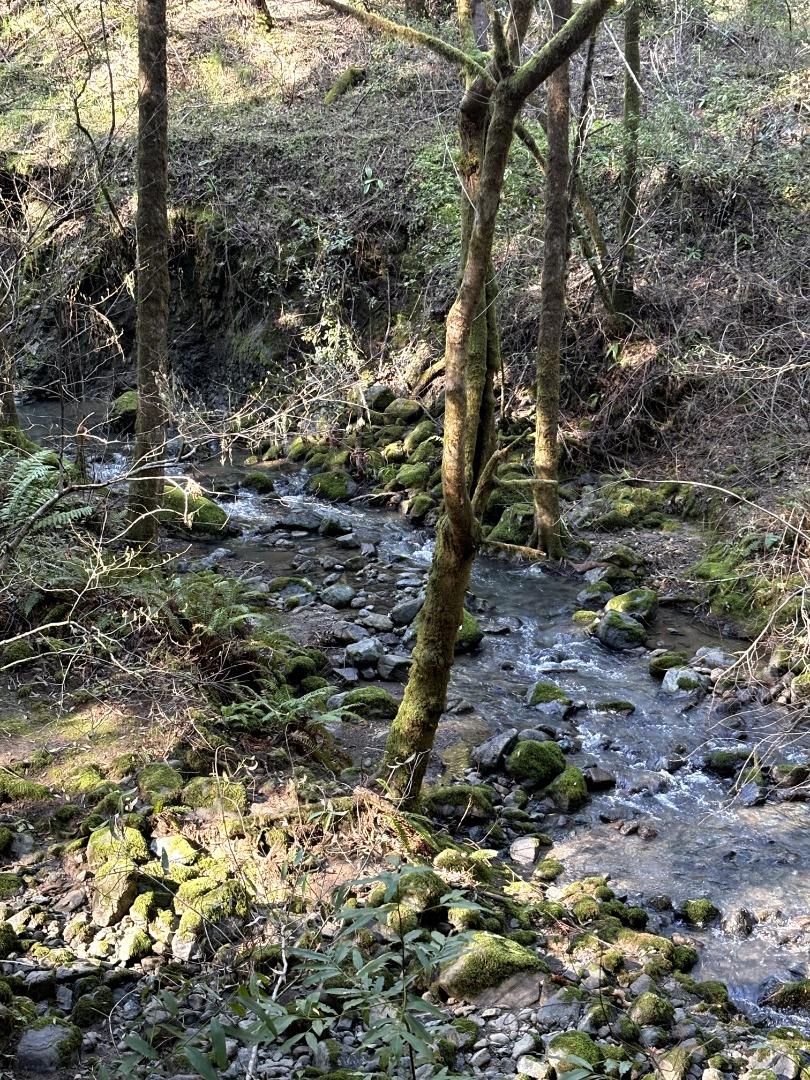 Detail Gallery Image 2 of 16 For 11930 Graton Rd, Sebastopol,  CA 95472 - – Beds | – Baths