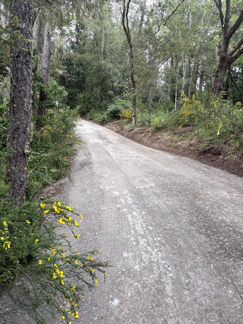 Detail Gallery Image 4 of 16 For 11930 Graton Rd, Sebastopol,  CA 95472 - – Beds | – Baths