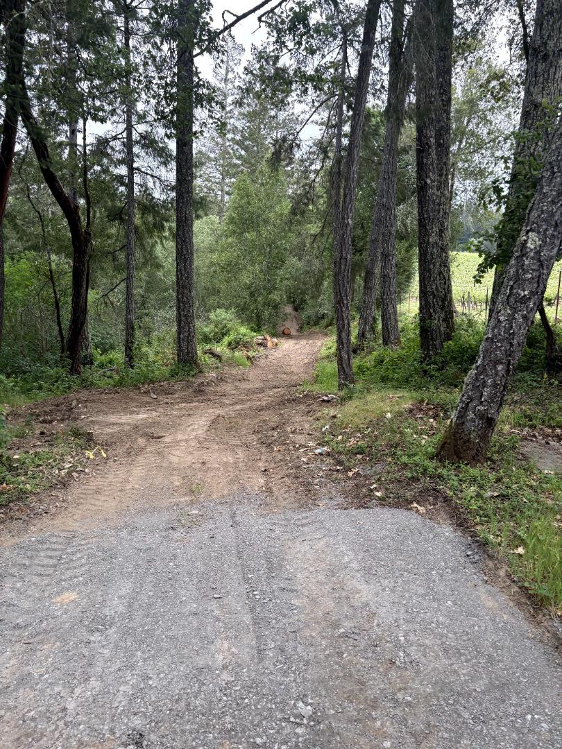 Detail Gallery Image 6 of 16 For 11930 Graton Rd, Sebastopol,  CA 95472 - – Beds | – Baths