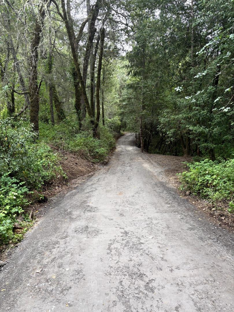 Detail Gallery Image 7 of 16 For 11930 Graton Rd, Sebastopol,  CA 95472 - – Beds | – Baths