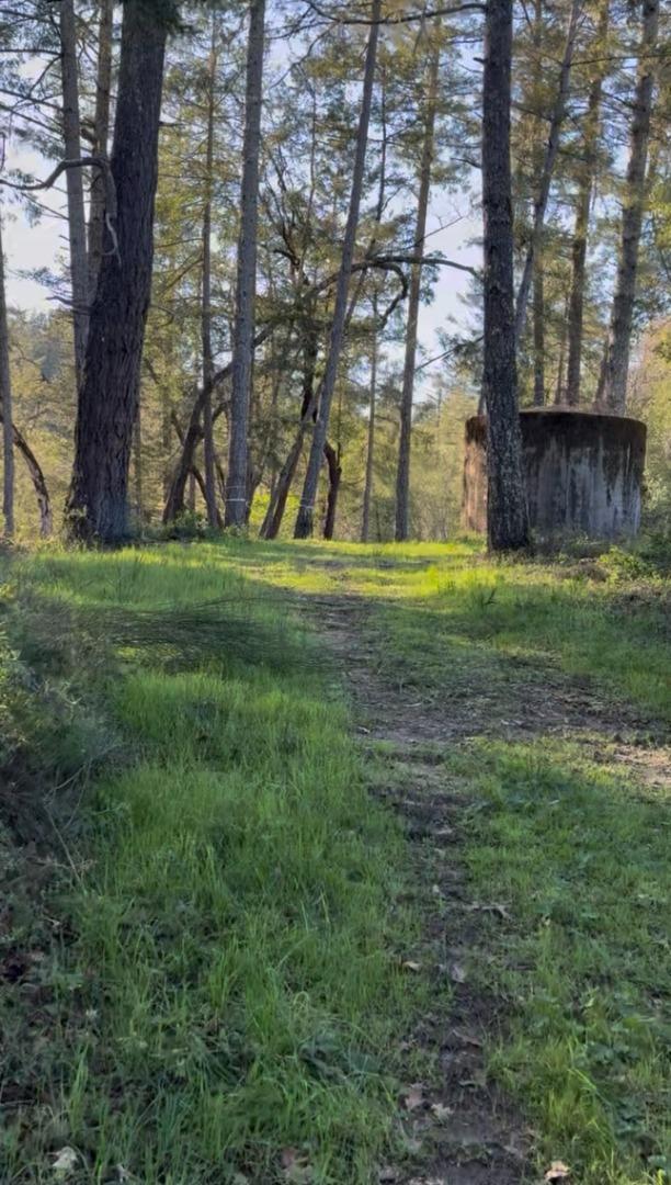 Detail Gallery Image 9 of 16 For 11930 Graton Rd, Sebastopol,  CA 95472 - – Beds | – Baths