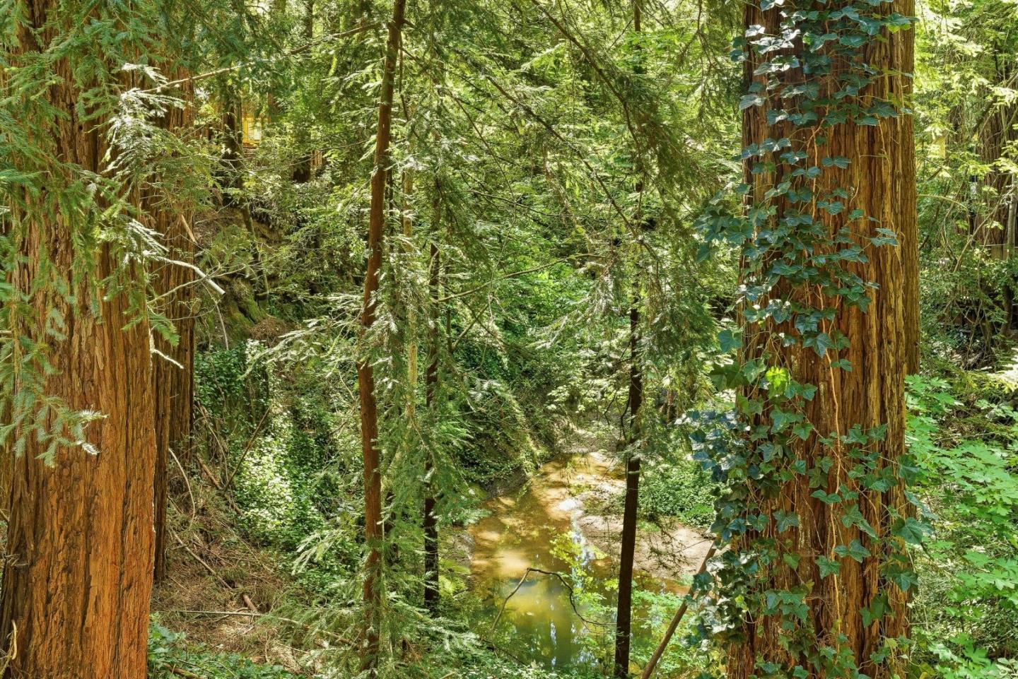 Detail Gallery Image 46 of 59 For 255 Brookside Dr, Boulder Creek,  CA 95006 - 4 Beds | 2/1 Baths