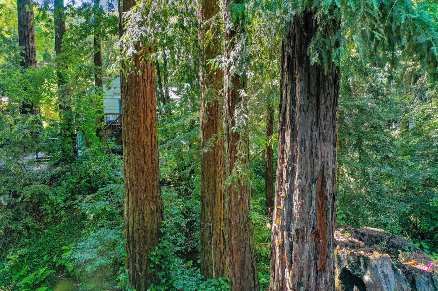 Detail Gallery Image 54 of 59 For 255 Brookside Dr, Boulder Creek,  CA 95006 - 4 Beds | 2/1 Baths