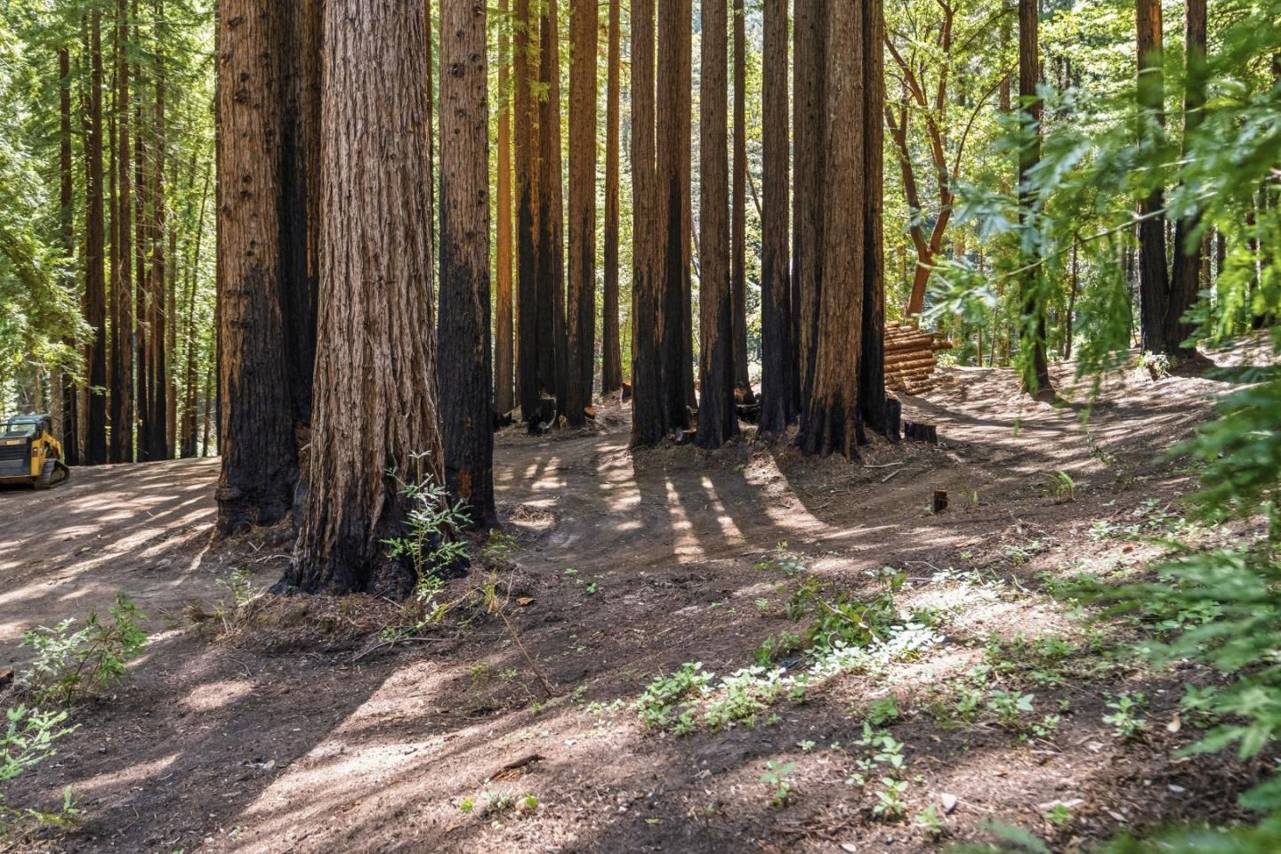 Detail Gallery Image 15 of 45 For 0 Band (Lot 15 & 18) Rd, Boulder Creek,  CA 95006 - – Beds | – Baths