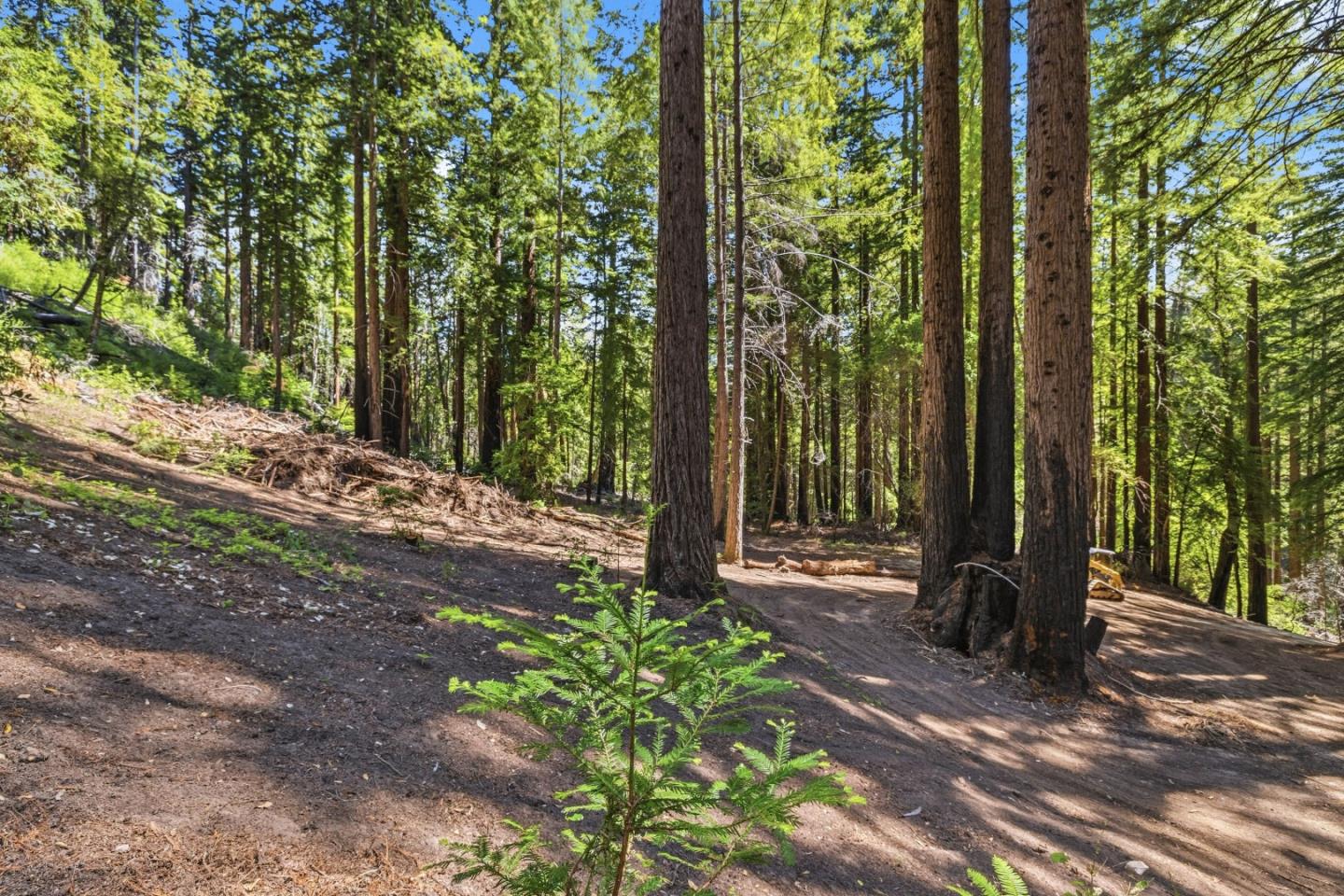 Detail Gallery Image 18 of 45 For 0 Band (Lot 15 & 18) Rd, Boulder Creek,  CA 95006 - – Beds | – Baths