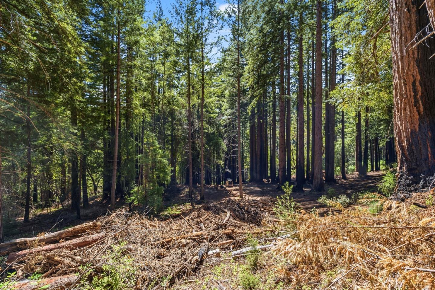 Detail Gallery Image 19 of 45 For 0 Band (Lot 15 & 18) Rd, Boulder Creek,  CA 95006 - – Beds | – Baths