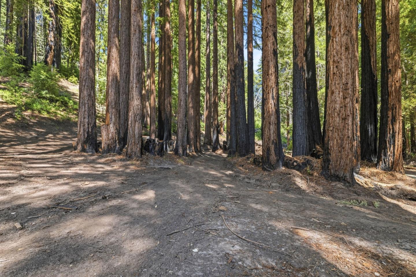 000 Band Road, Boulder Creek, CA, 95006