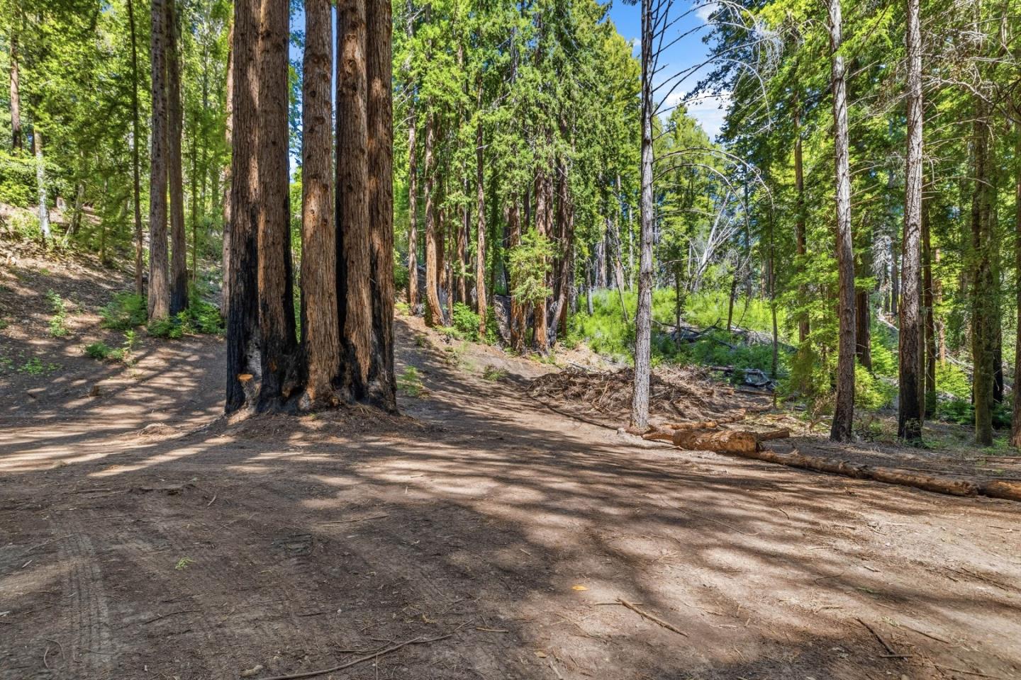 000 Band Road, Boulder Creek, CA, 95006