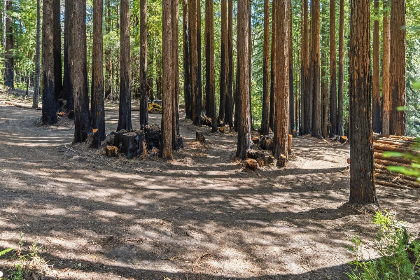 000 Band Road, Boulder Creek, CA, 95006