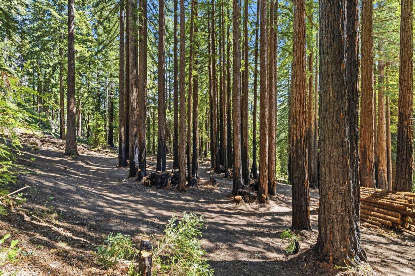 000 Band Road, Boulder Creek, CA, 95006