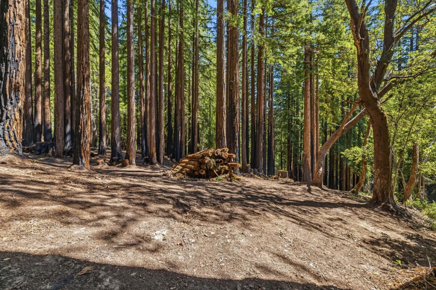 000 Band Road, Boulder Creek, CA, 95006