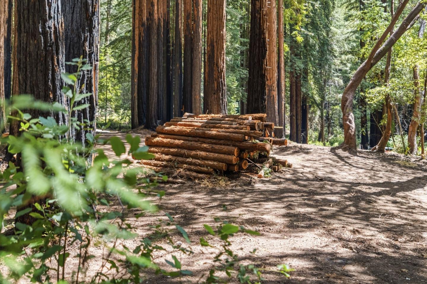 000 Band Road, Boulder Creek, CA, 95006