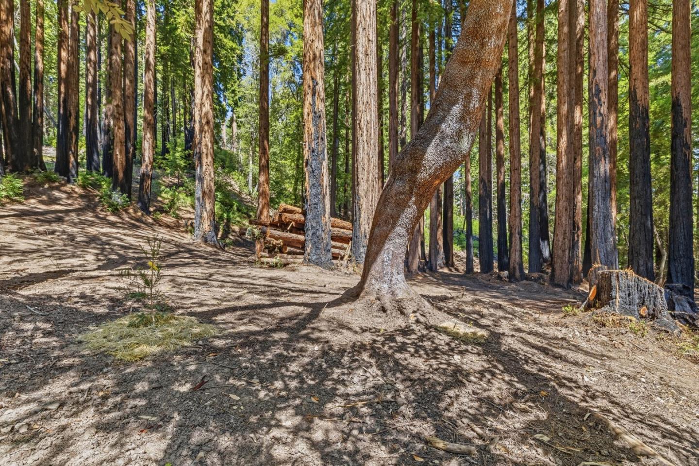 000 Band Road, Boulder Creek, CA, 95006