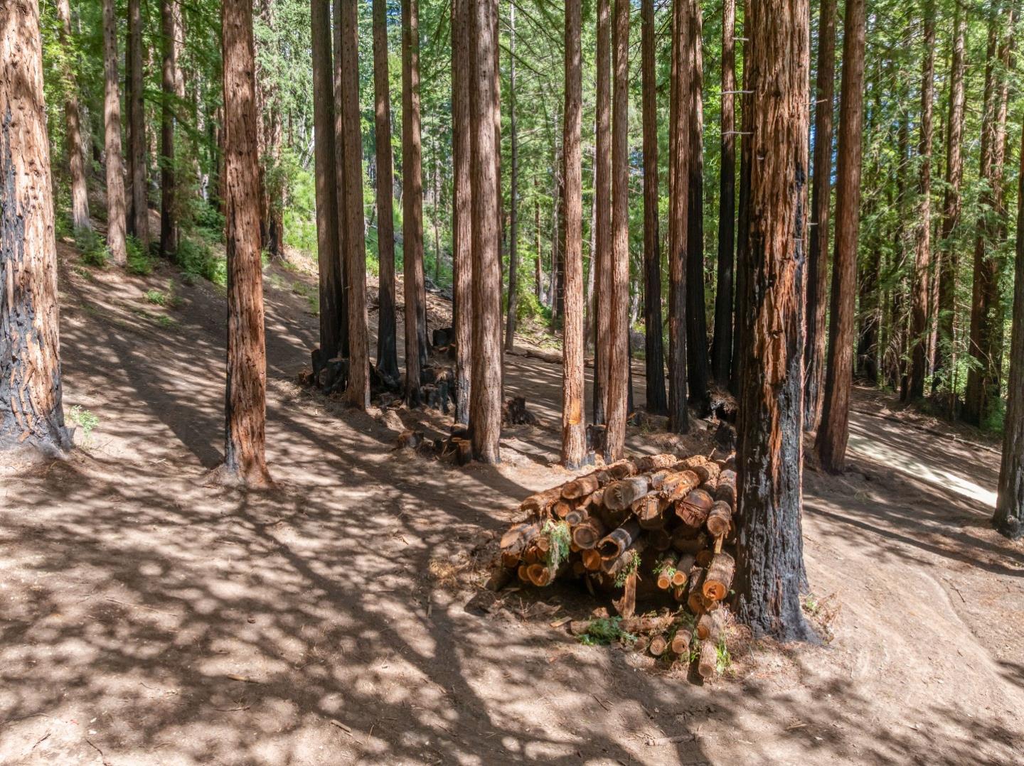 000 Band Road, Boulder Creek, CA, 95006