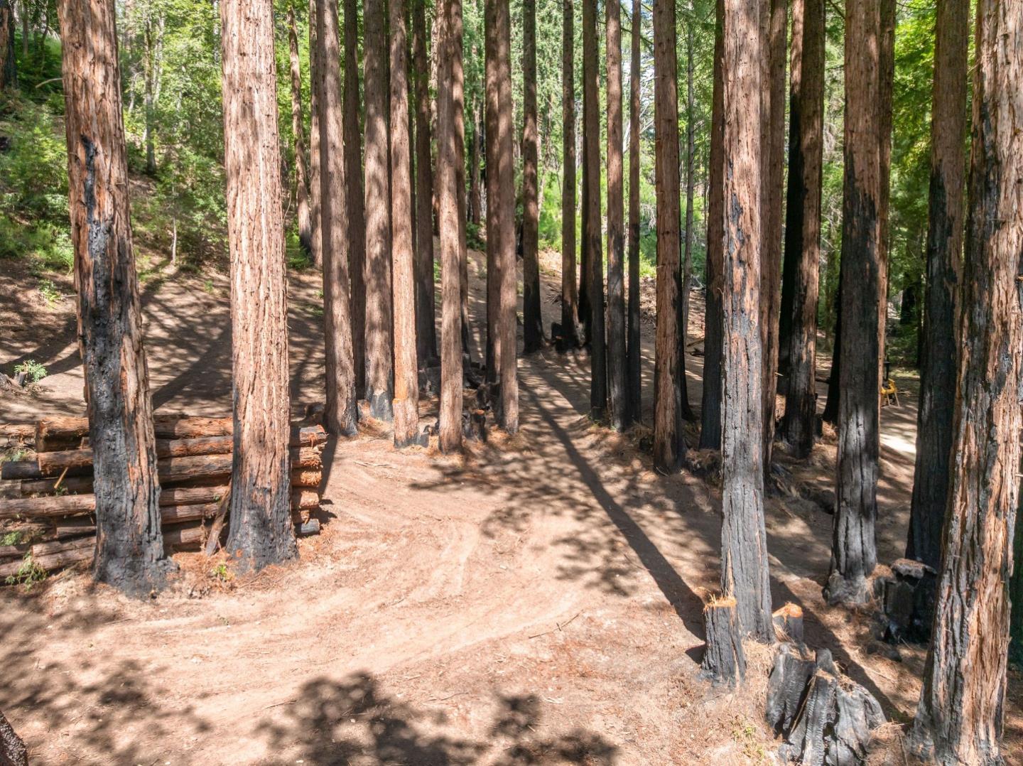 000 Band Road, Boulder Creek, CA, 95006