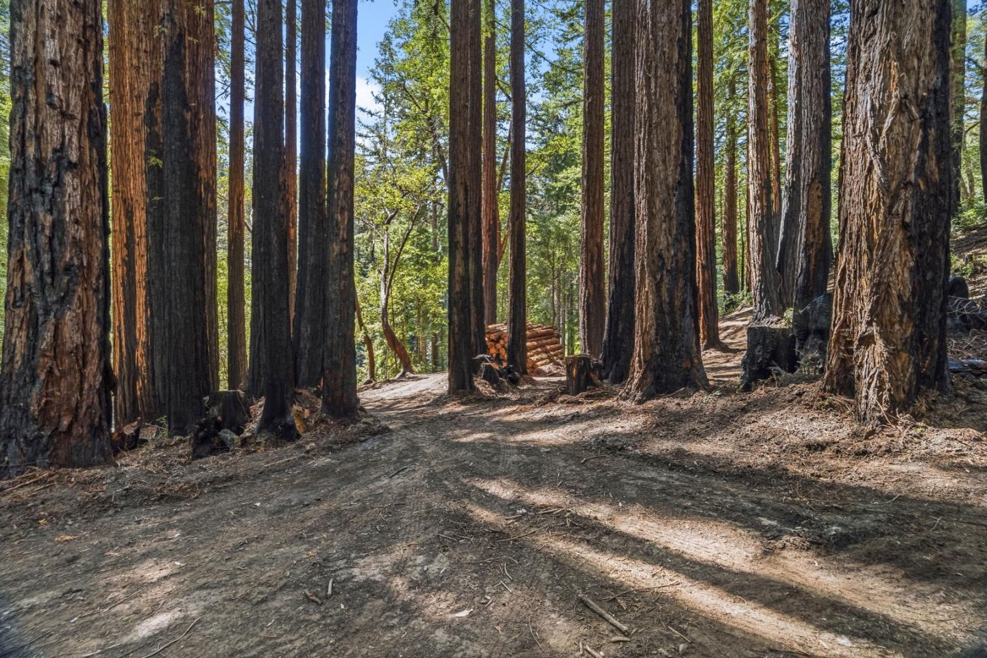 Detail Gallery Image 41 of 45 For 0 Band (Lot 15 & 18) Rd, Boulder Creek,  CA 95006 - – Beds | – Baths