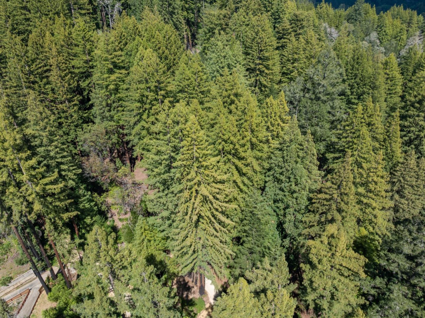 Detail Gallery Image 43 of 45 For 0 Band (Lot 15 & 18) Rd, Boulder Creek,  CA 95006 - – Beds | – Baths