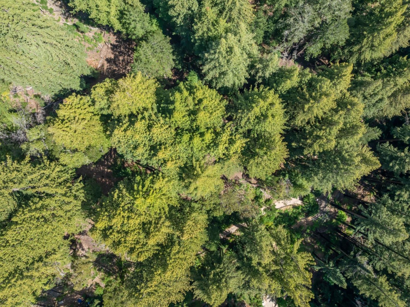 Detail Gallery Image 45 of 45 For 0 Band (Lot 15 & 18) Rd, Boulder Creek,  CA 95006 - – Beds | – Baths