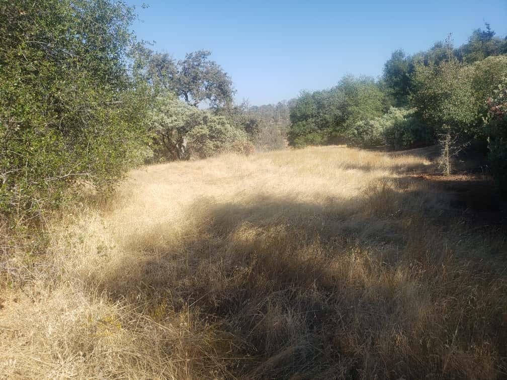 Detail Gallery Image 3 of 10 For 29763 Stoney Creek, Tollhouse,  CA 93667 - – Beds | – Baths