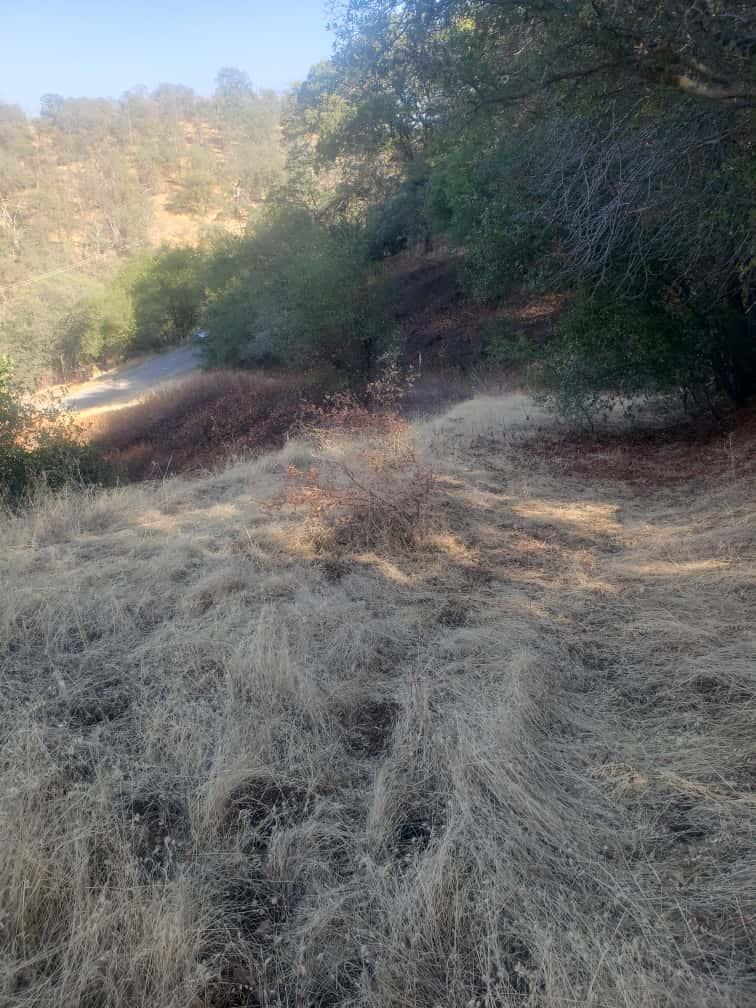 Detail Gallery Image 6 of 10 For 29763 Stoney Creek, Tollhouse,  CA 93667 - – Beds | – Baths