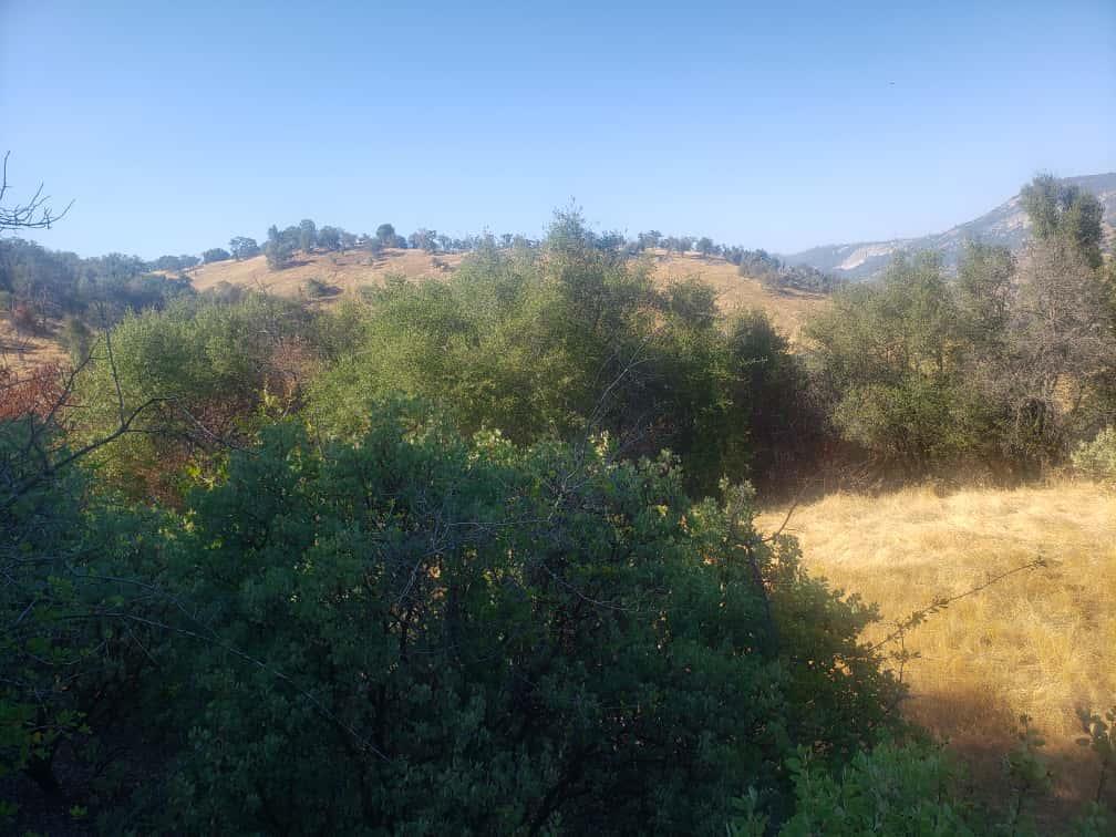 Detail Gallery Image 7 of 10 For 29763 Stoney Creek, Tollhouse,  CA 93667 - – Beds | – Baths