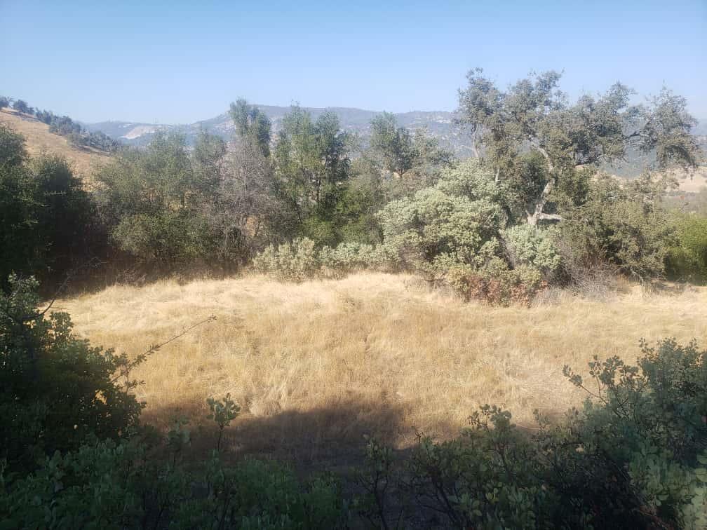 Detail Gallery Image 9 of 10 For 29763 Stoney Creek, Tollhouse,  CA 93667 - – Beds | – Baths