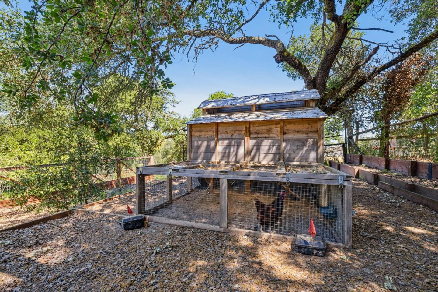 Detail Gallery Image 47 of 52 For 140 Dean Rd, Woodside,  CA 94062 - 6 Beds | 4/1 Baths