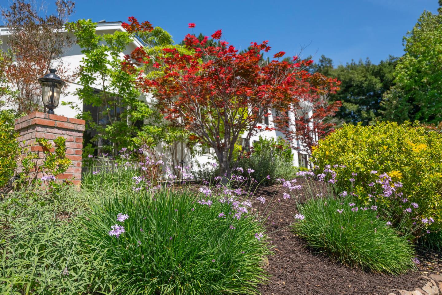 Detail Gallery Image 11 of 74 For 740 Clydesdale Dr, Hillsborough,  CA 94010 - 5 Beds | 3/1 Baths