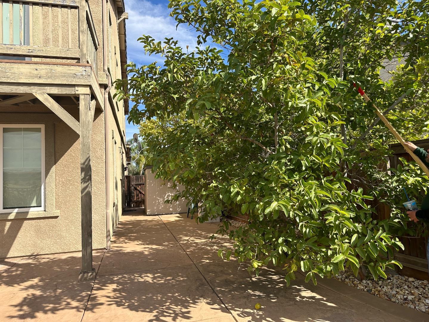 2791 St Andrews Drive, Brentwood, CA, 94513