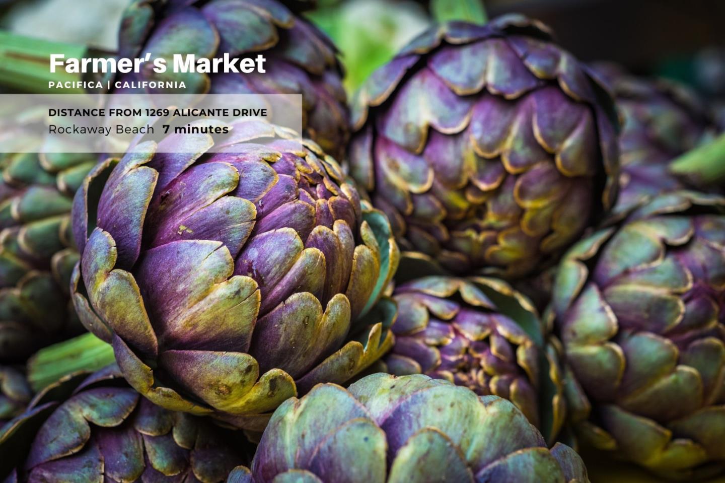 Detail Gallery Image 42 of 47 For 1269 Alicante Dr, Pacifica,  CA 94044 - 3 Beds | 3 Baths