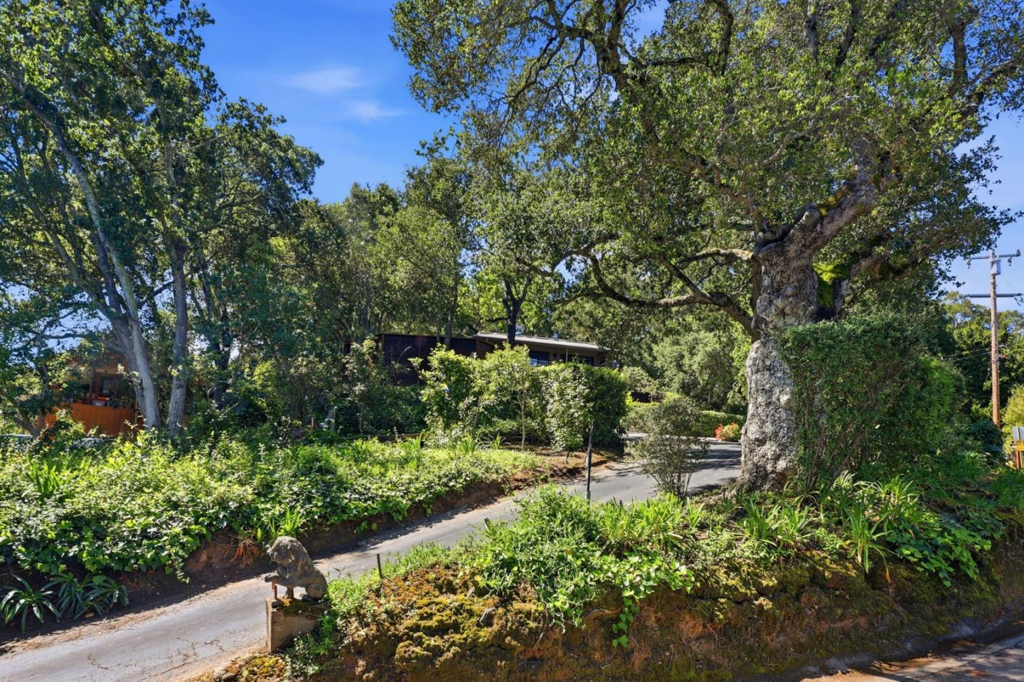 Detail Gallery Image 3 of 41 For 9 Russell Ave, Portola Valley,  CA 94028 - 2 Beds | 2 Baths