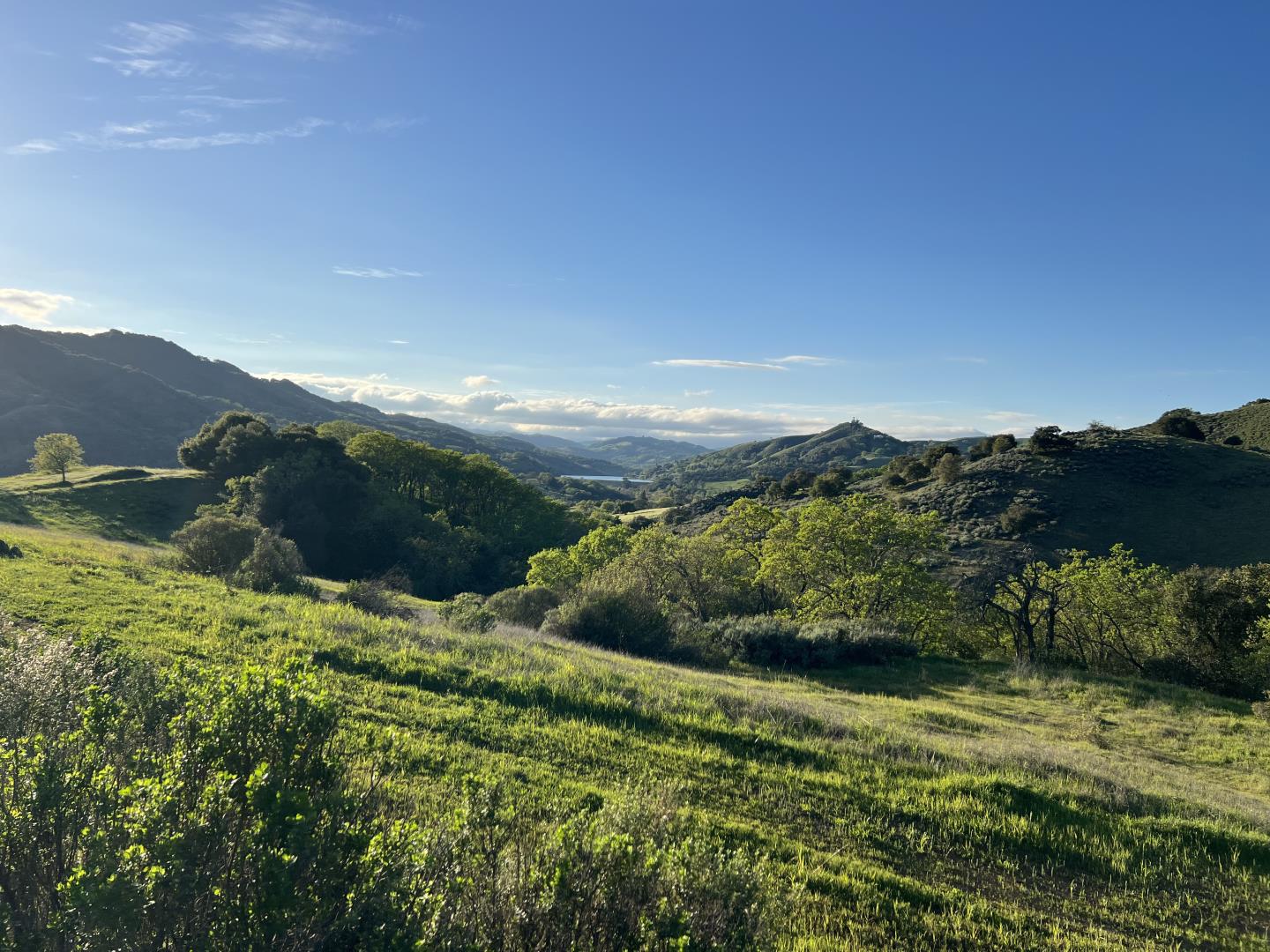 Alameda