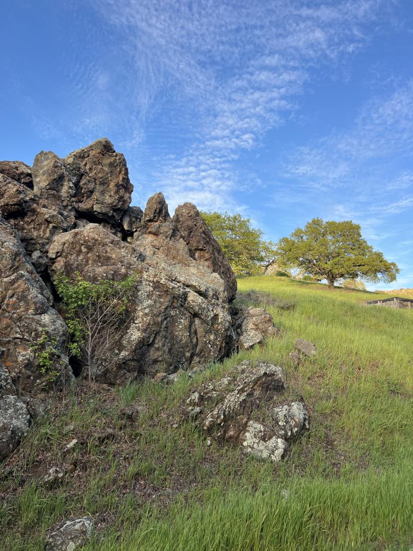 Detail Gallery Image 4 of 11 For 0 Oak Glen Ave, Morgan Hill,  CA 95037 - – Beds | – Baths