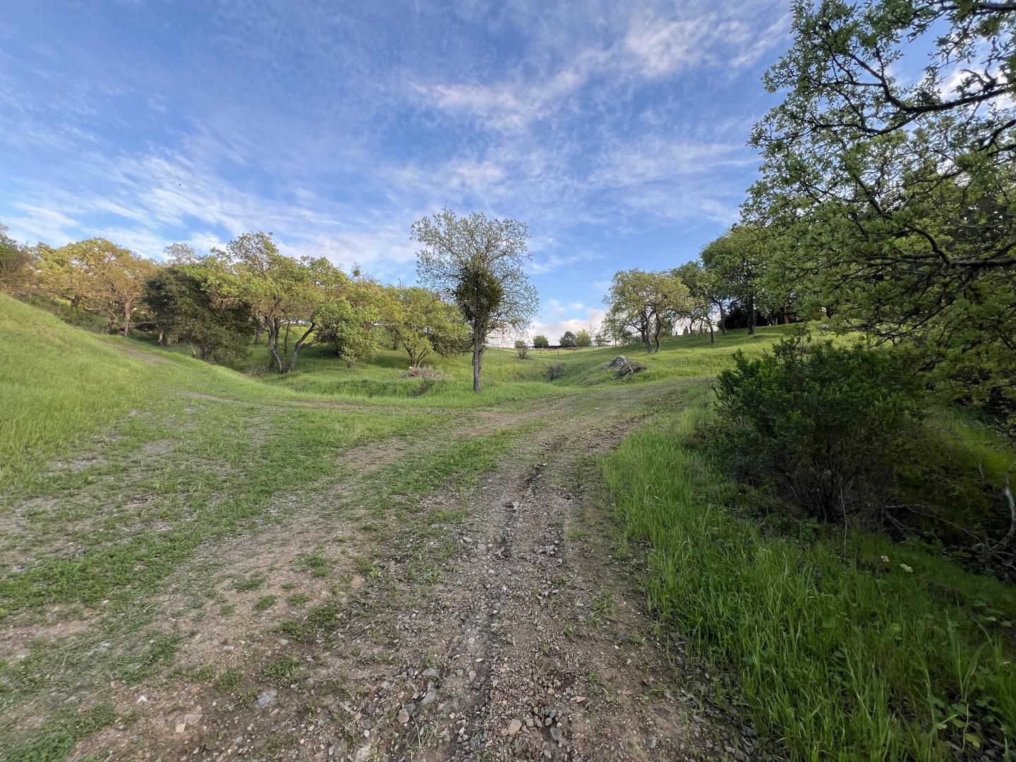 Detail Gallery Image 5 of 11 For 0 Oak Glen Ave, Morgan Hill,  CA 95037 - – Beds | – Baths