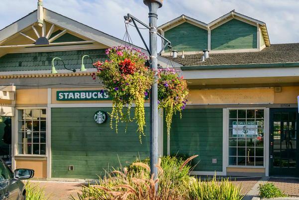 Detail Gallery Image 74 of 79 For 1664 Sixth Ave, Belmont,  CA 94002 - 4 Beds | 3 Baths