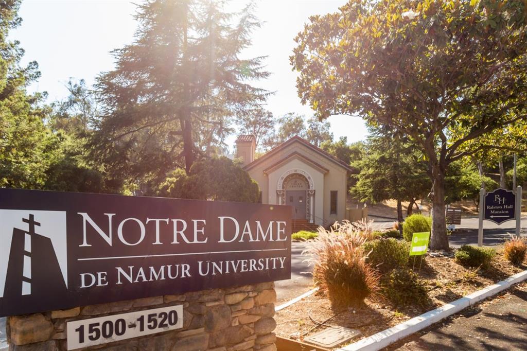 Detail Gallery Image 77 of 79 For 1664 Sixth Ave, Belmont,  CA 94002 - 4 Beds | 3 Baths