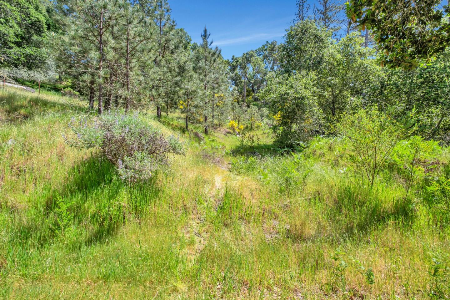 0 Zayante School, Felton, CA, 95018